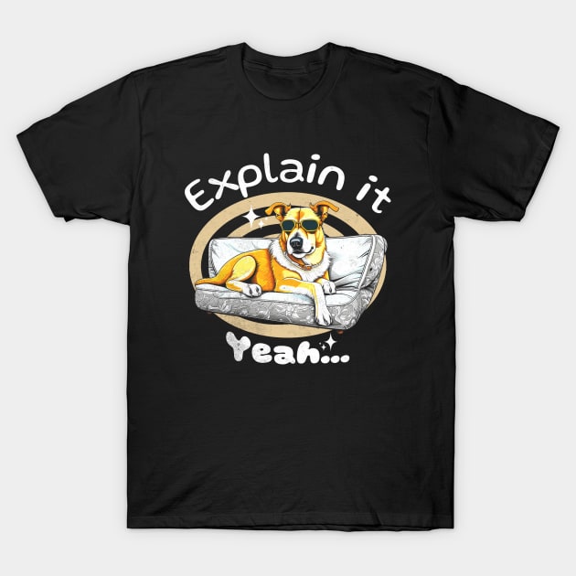 Explain It Yeah... T-Shirt by alcoshirts